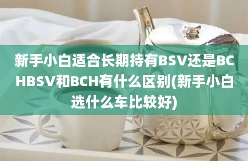 新手小白适合长期持有BSV还是BCHBSV和BCH有什么区别(新手小白选什么车比较好)