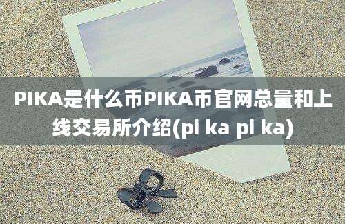 PIKA是什么币PIKA币官网总量和上线交易所介绍(pi ka pi ka)