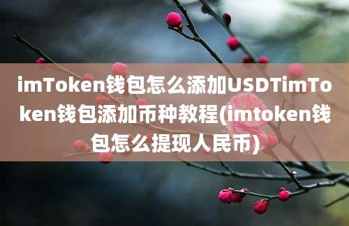 imToken钱包怎么添加USDTimToken钱包添加币种教程(imtoken钱包怎么提现人民币)