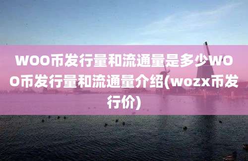 WOO币发行量和流通量是多少WOO币发行量和流通量介绍(wozx币发行价)