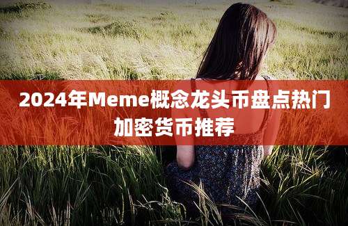 2024年Meme概念龙头币盘点热门加密货币推荐