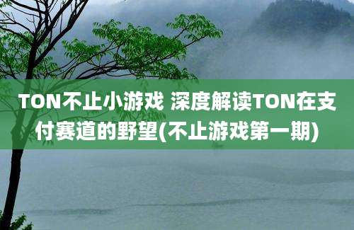 TON不止小游戏 深度解读TON在支付赛道的野望(不止游戏第一期)