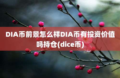 DIA币前景怎么样DIA币有投资价值吗持仓(dice币)