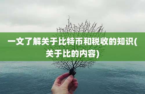 一文了解关于比特币和税收的知识(关于比的内容)