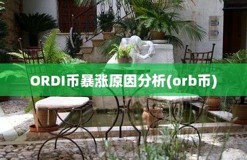 ORDI币暴涨原因分析(orb币)