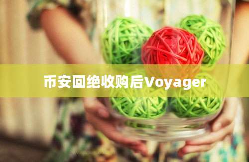 币安回绝收购后Voyager