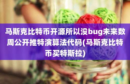 马斯克比特币开源所以没bug未来数周公开推特演算法代码(马斯克比特币买特斯拉)