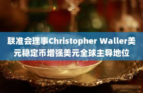 联准会理事Christopher Waller美元稳定币增强美元全球主导地位