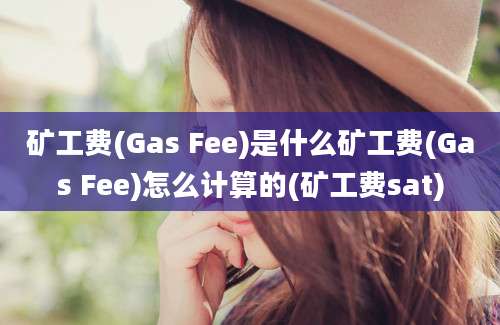 矿工费(Gas Fee)是什么矿工费(Gas Fee)怎么计算的(矿工费sat)