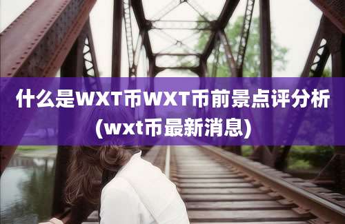 什么是WXT币WXT币前景点评分析(wxt币最新消息)