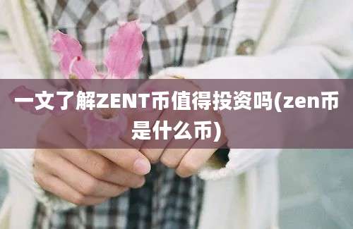 一文了解ZENT币值得投资吗(zen币是什么币)