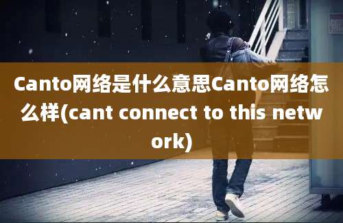 Canto网络是什么意思Canto网络怎么样(cant connect to this network)