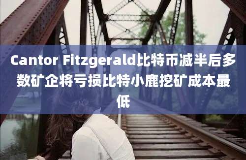 Cantor Fitzgerald比特币减半后多数矿企将亏损比特小鹿挖矿成本最低