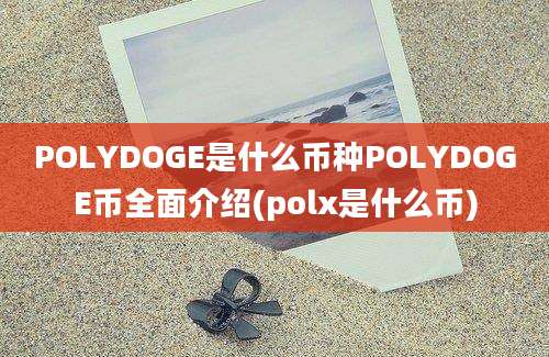 POLYDOGE是什么币种POLYDOGE币全面介绍(polx是什么币)