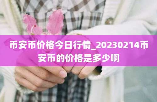 币安币价格今日行情_20230214币安币的价格是多少啊