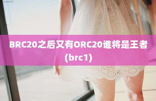 BRC20之后又有ORC20谁将是王者(brc1)