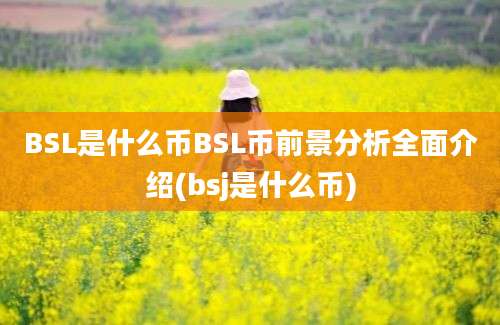 BSL是什么币BSL币前景分析全面介绍(bsj是什么币)