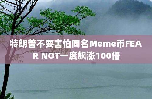 特朗普不要害怕同名Meme币FEAR NOT一度飙涨100倍