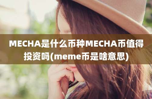 MECHA是什么币种MECHA币值得投资吗(meme币是啥意思)