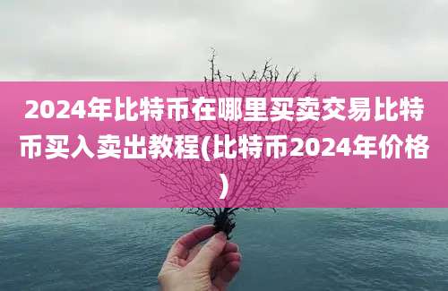 2024年比特币在哪里买卖交易比特币买入卖出教程(比特币2024年价格)