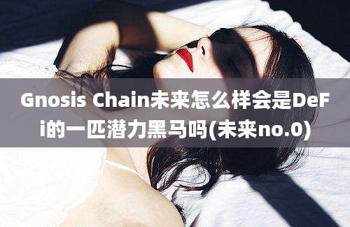 Gnosis Chain未来怎么样会是DeFi的一匹潜力黑马吗(未来no.0)