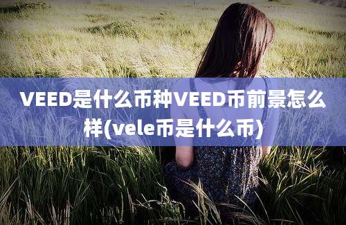 VEED是什么币种VEED币前景怎么样(vele币是什么币)