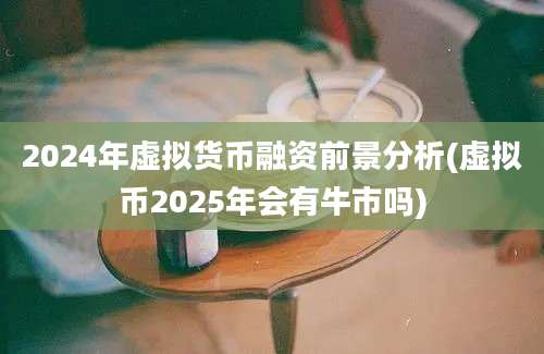 2024年虚拟货币融资前景分析(虚拟币2025年会有牛市吗)