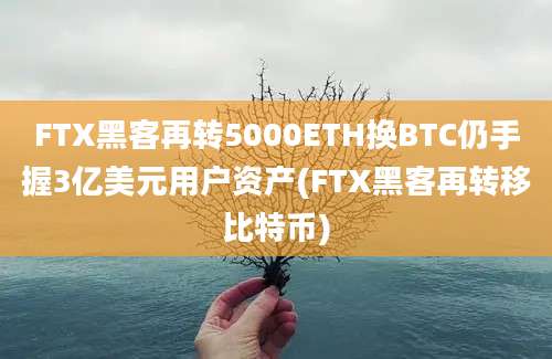 FTX黑客再转5000ETH换BTC仍手握3亿美元用户资产(FTX黑客再转移比特币)