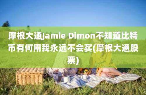 摩根大通Jamie Dimon不知道比特币有何用我永远不会买(摩根大通股票)