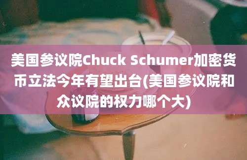 美国参议院Chuck Schumer加密货币立法今年有望出台(美国参议院和众议院的权力哪个大)