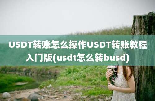 USDT转账怎么操作USDT转账教程入门版(usdt怎么转busd)