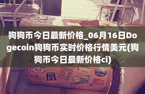 狗狗币今日最新价格_06月16日Dogecoin狗狗币实时价格行情美元(狗狗币今日最新价格ci)