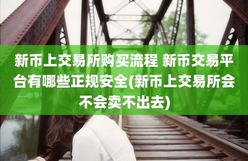 新币上交易所购买流程 新币交易平台有哪些正规安全(新币上交易所会不会卖不出去)