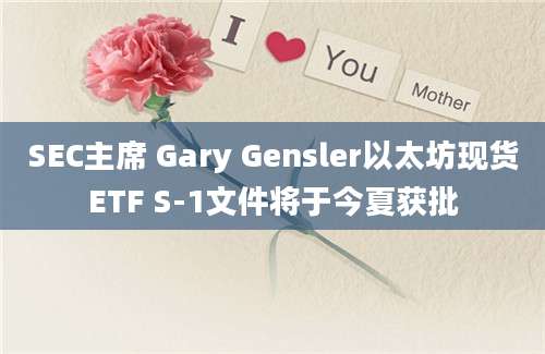 SEC主席 Gary Gensler以太坊现货ETF S-1文件将于今夏获批