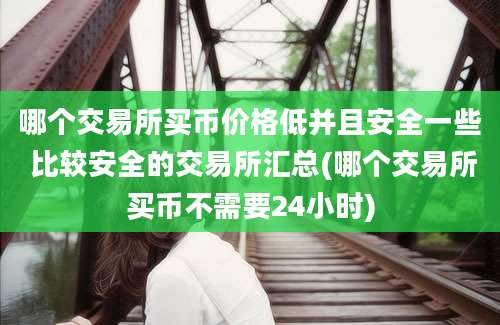 哪个交易所买币价格低并且安全一些 比较安全的交易所汇总(哪个交易所买币不需要24小时)