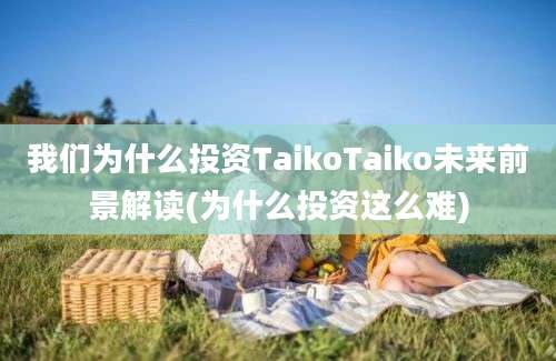 我们为什么投资TaikoTaiko未来前景解读(为什么投资这么难)