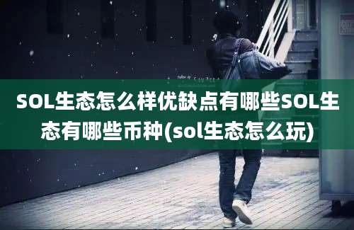 SOL生态怎么样优缺点有哪些SOL生态有哪些币种(sol生态怎么玩)