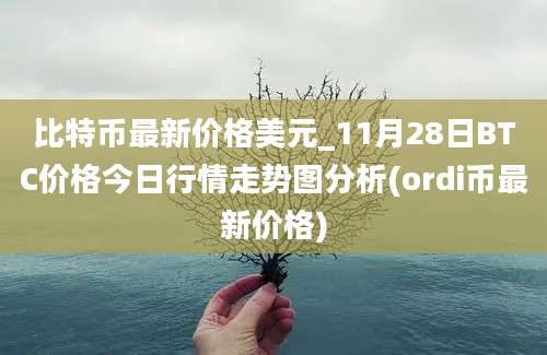 比特币最新价格美元_11月28日BTC价格今日行情走势图分析(ordi币最新价格)