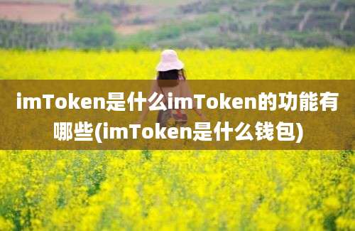 imToken是什么imToken的功能有哪些(imToken是什么钱包)