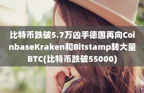 比特币跌破5.7万凶手德国再向CoinbaseKraken和Bitstamp转大量BTC(比特币跌破55000)