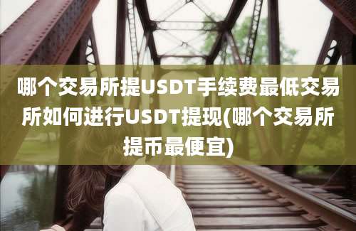 哪个交易所提USDT手续费最低交易所如何进行USDT提现(哪个交易所提币最便宜)