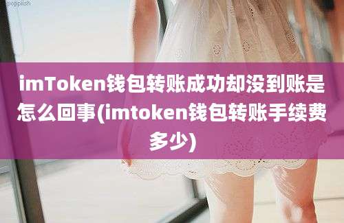 imToken钱包转账成功却没到账是怎么回事(imtoken钱包转账手续费多少)