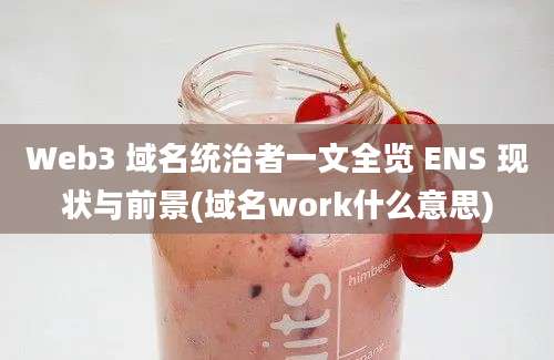 Web3 域名统治者一文全览 ENS 现状与前景(域名work什么意思)