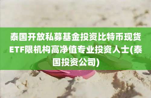 泰国开放私募基金投资比特币现货ETF限机构高净值专业投资人士(泰国投资公司)