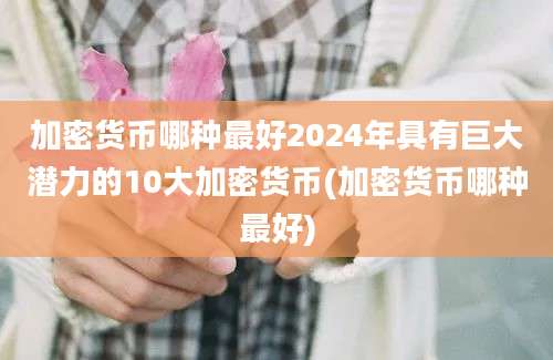 加密货币哪种最好2024年具有巨大潜力的10大加密货币(加密货币哪种最好)