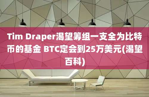 Tim Draper渴望筹组一支全为比特币的基金 BTC定会到25万美元(渴望百科)