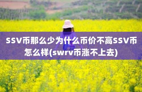 SSV币那么少为什么币价不高SSV币怎么样(swrv币涨不上去)