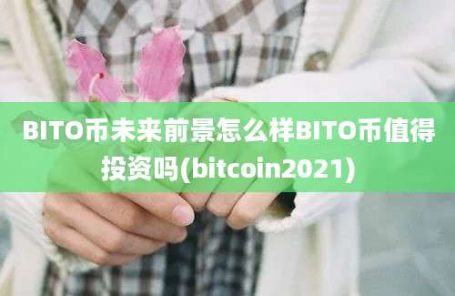 BITO币未来前景怎么样BITO币值得投资吗(bitcoin2021)