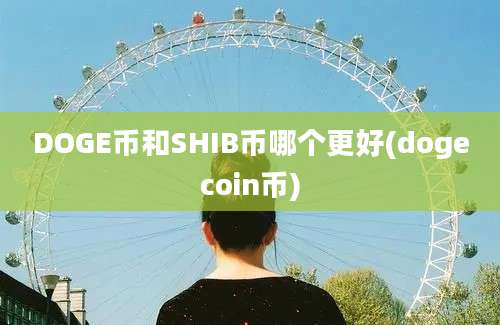 DOGE币和SHIB币哪个更好(dogecoin币)