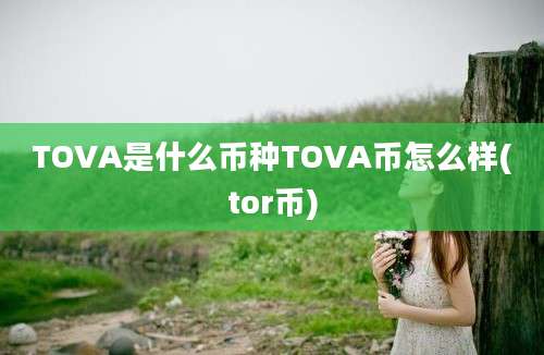 TOVA是什么币种TOVA币怎么样(tor币)